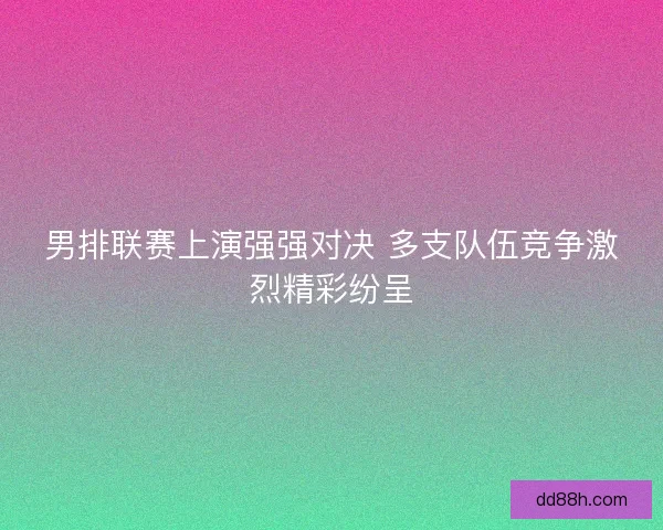 男排联赛上演强强对决 多支队伍竞争激烈精彩纷呈
