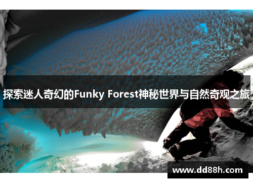 探索迷人奇幻的Funky Forest神秘世界与自然奇观之旅